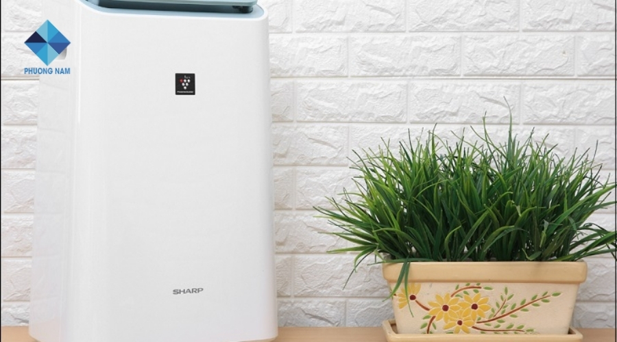 Công dụng của máy hút ẩm 1