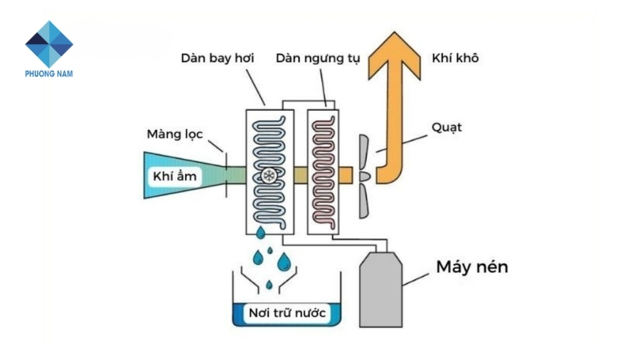 Nguyên lý hoạt động máy hút ẩm 1