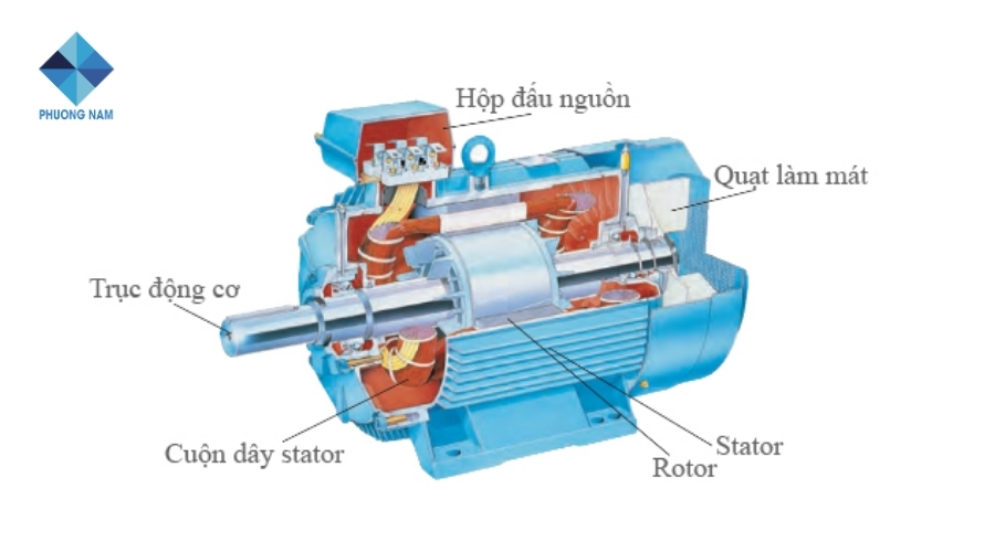 Motor (Động cơ điện)