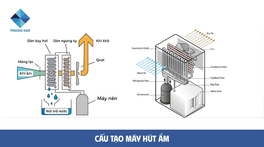 Cấu tạo máy hút ẩm chi tiết từ A-Z