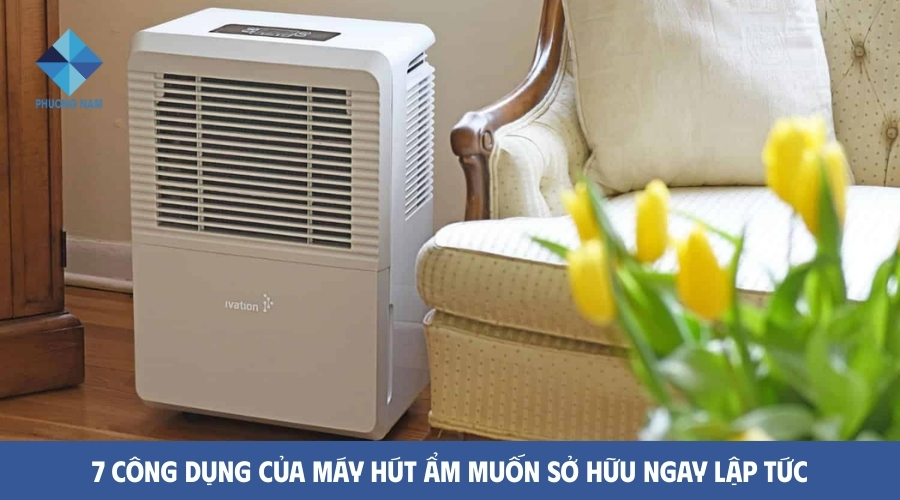 7 Công dụng của máy hút ẩm muốn sở hữu ngay lập tức