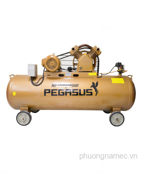 Máy nén khí dây đai Pegasus TM-V-0.25/8-120L (380V)