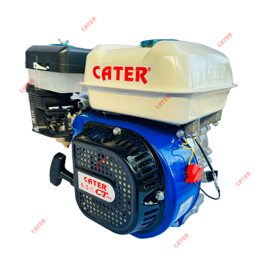 Động cơ nổ chạy xăng CT-200G (CATER)