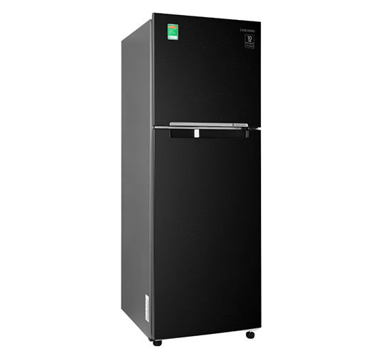 Tủ lạnh Samsung Inverter 243L RT22M4032BU/SV