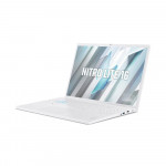 Laptop Acer Gaming Nitro Lite 16 NL16-71G-71UJ NH.D59SV.002(Intel Core i7-13620H | RTX3050 | 16 inch FHD+ | 16GB | 512GB | Win 11 Home | Trắng)