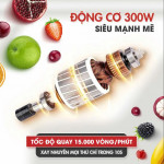 Máy Xay Sinh Tố Đa Năng Masuto Blender BL399B + Bình thể thao