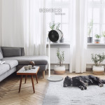 Quạt đối lưu không khí Boneco F230