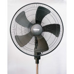 Quạt cây Benny BF-183